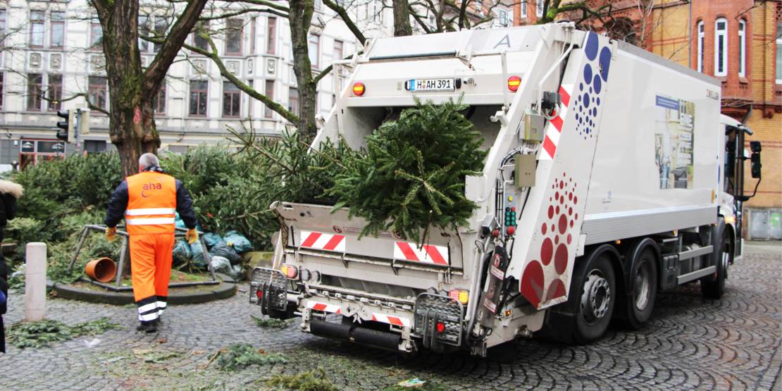 Ein Mitarbeiter von aha holt die Tannenbäume ab
